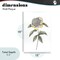 Stupell Industries Camellia Flower Illustration Wall Plaque, design by Cecilia Battaini